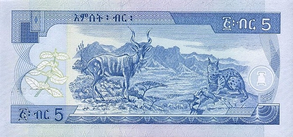 Купюра номиналом 5 эфиопских быров, обратная сторона